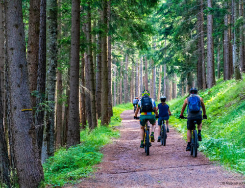 Auf Fahrradtour mit Klebstoffen: Nachhaltig reisen auf zwei Rädern